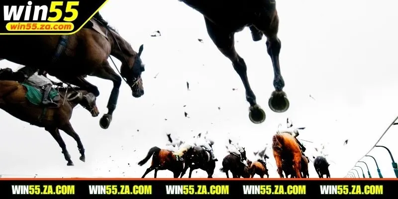 Game đua ngựa WIN55 được đông đảo người dùng lựa chọn