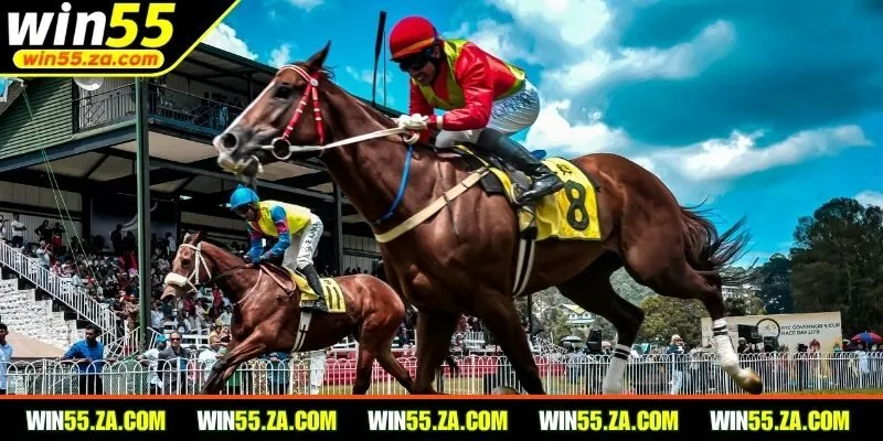 Tham gia các giải đua tại nhà cái với nhiều ưu điểm